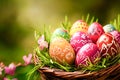 Colourful painted Easter eggs woven basket spring garden fun Royalty Free Stock Photo