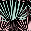 Colourful palm leaves on dark background, Carribbean pattern Royalty Free Stock Photo
