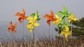 colourful paper wind mill Royalty Free Stock Photo