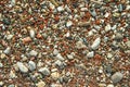 Colourful pebbles on the beach, as background