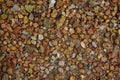 Colourful pebbles scattered on soil