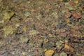 Colourful pebbles under water background