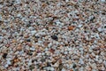 Colourful pebbles underwater