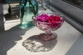 Colourful pink flowers floating in a nice clear crystal glass on a counter near a window while beautiful morning sunlight casts.