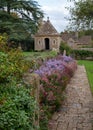 Colourful Michaelmas daisies in the garden at Great Chalfield Manor near Bradford on Avon, Wiltshire UK, photographed in autumn. Royalty Free Stock Photo