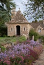 Colourful Michaelmas daisies in the garden at Great Chalfield Manor near Bradford on Avon, Wiltshire UK, photographed in autumn. Royalty Free Stock Photo