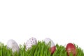 Colourful pink and red easter eggs in green grass