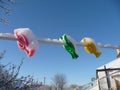 Colourful plastic clothes pegs caked in snow