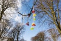 Colourful plastic pacifiers hanging in a tree