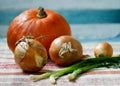 Colourful pumpkin and onions. Royalty Free Stock Photo