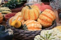 Pumpkins, turban squash, at harvest festival