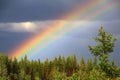 Colourful rainbow over forest with heavy clouds Royalty Free Stock Photo