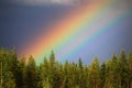 Colourful rainbow over forest with heavy clouds Royalty Free Stock Photo