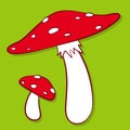 Colourful red spotted fly agaric