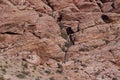 Colourful rocks in Red Rock Canyon State Park Royalty Free Stock Photo