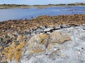 Colourful Rockscape by the Beach Royalty Free Stock Photo