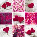 Colourful roses and hearts - collage