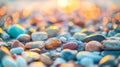 Colourful round sea pebbles on the shore in the sunset sunlight. Royalty Free Stock Photo