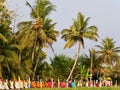 Colourful row of girls, Kathakali temple festival, Kumarakom, S India