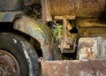 Colourful, rusty, abandoned lorry