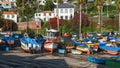 Colourful sailing fisher man boats in Camara de Lobos port, Madeira, Portugal, October 10, 2019