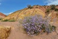 Colourful sandy rock formations of Skazka canyon,Issy-Kul