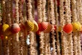 Colourful sea snails made showpieces in a shop