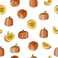 Seamless pattern with colourful pumpkins autumn design