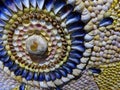 Colourful seashells arranged in circular pattern