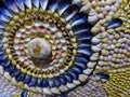 Colourful seashells arranged in circular pattern Royalty Free Stock Photo
