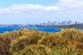 Colourful shrubs at North Point