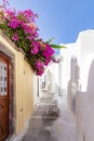 The colourful small streets of Emporio, Santorini, Greece are even more beautiful with the flowers of the bougainvillea that hang