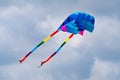 Colourful soft kite flying