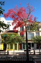 Colourful Spanish street on the Costa del Sol