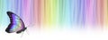 Colourful spiritual rainbow butterfly message background banner