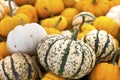 Colourful squash Royalty Free Stock Photo