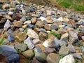 Colourful stones