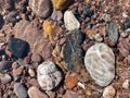 Colourful stones and pebbles in rock pool with reflections