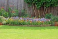 Colourful Summer Bedding Flowers And Shrubs