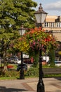 Colourful summer flowers on display in town centre.