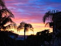 Sydney Suburban Sunrise Over Pacific Ocean, Australia Royalty Free Stock Photo