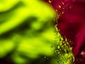 Colourful surreal psychedelic abstract liquid background. Water and oil drops with small air bubbles