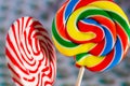 Colourful sweets candy rainbow and peppermint swirl lollipop close up macro photography Royalty Free Stock Photo