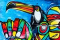 Colourful Toucan bird, urban art painting