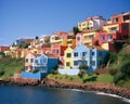 colourful town houses on a hill with the sea ocean water.