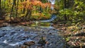 Colourful Tree In Autumn With Fallen Orange Leaves