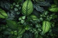 tree nature background palm botanical jungle green forest tropical colourful leaf. Generative AI.