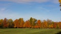 Colourful tree line of trees in autumn