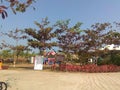 Colourful trees and parking children playing ground