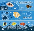 Colourful tropical fish banners templates flyers vector